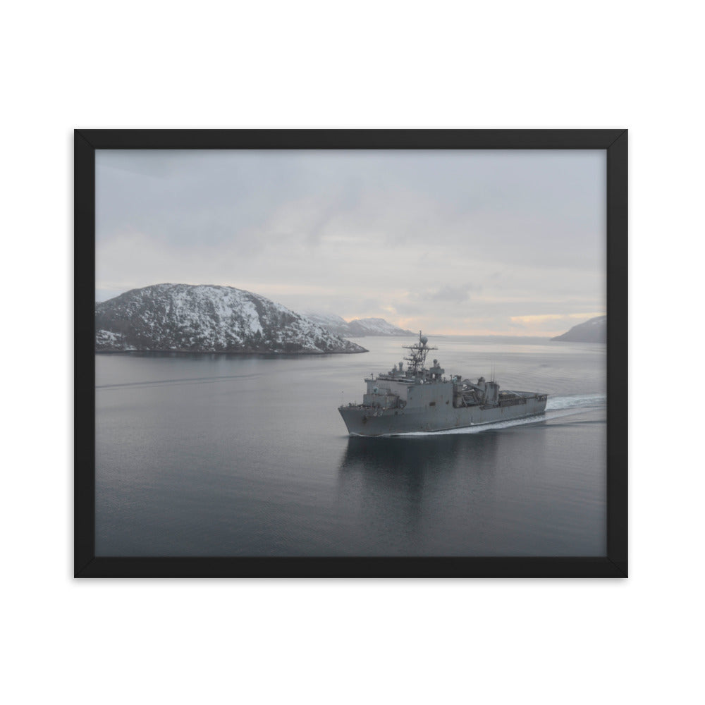 USS Fort McHenry (LSD-43) Framed Ship Photo
