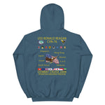 USS Ronald Reagan (CVN-76) 2008 Cruise Hoodie