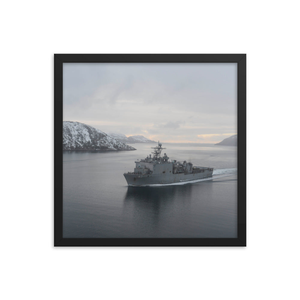 USS Fort McHenry (LSD-43) Framed Ship Photo