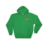 USS Abraham Lincoln (CVN-72) 2000-01 Cruise Hoodie