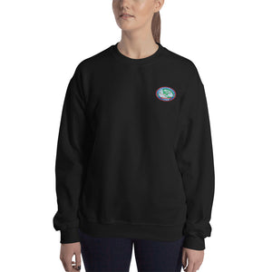 USS Ronald Reagan (CVN-76) 2016 Cruise Sweatshirt