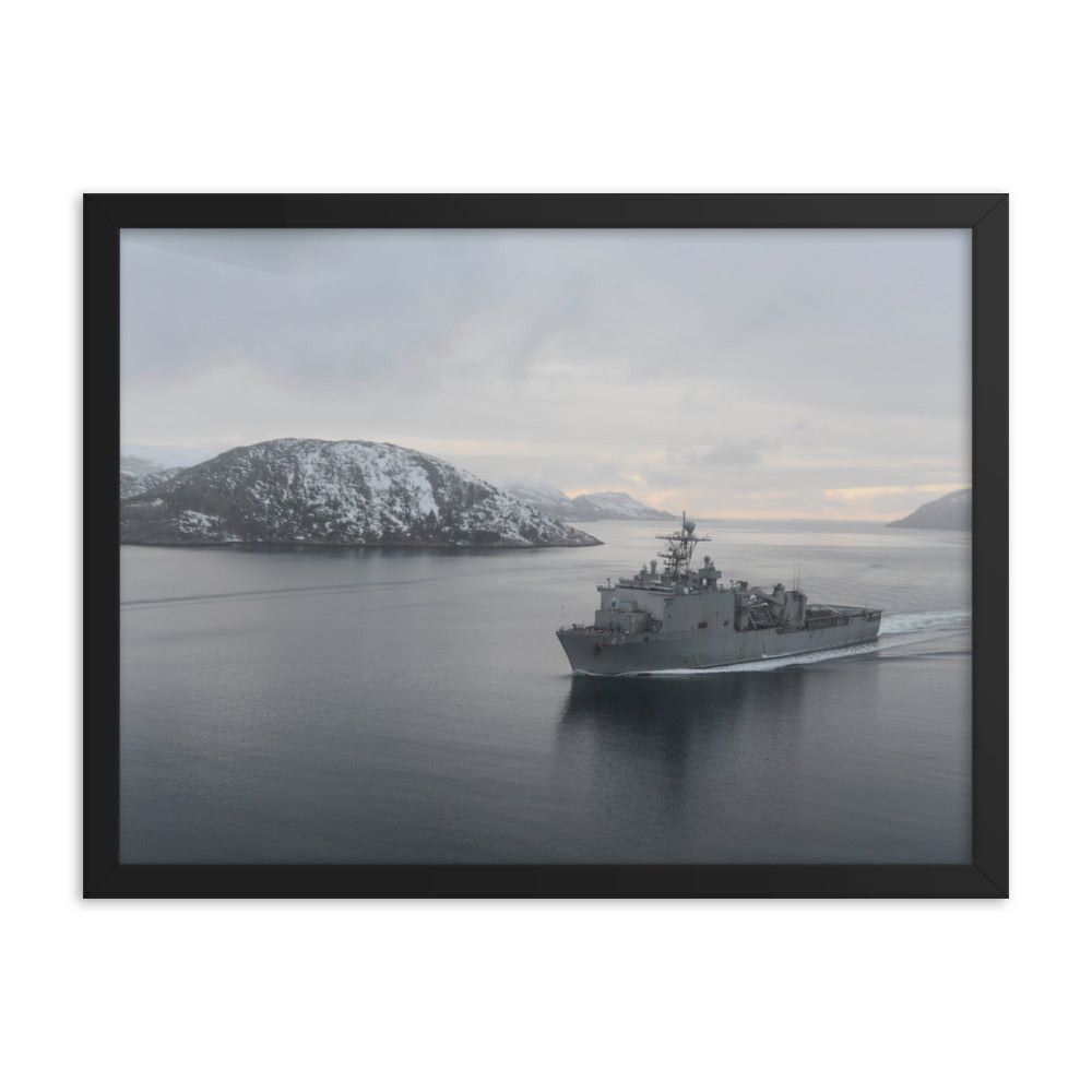 USS Fort McHenry (LSD-43) Framed Ship Photo