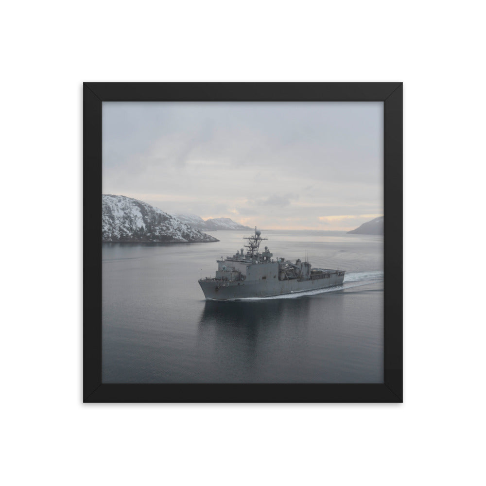 USS Fort McHenry (LSD-43) Framed Ship Photo