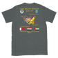 USS Blue Ridge (LCC-19) 1990-91 ODS/S Cruise Shirt – back view, heather