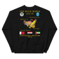 USS Blue Ridge (LCC-19) 1990-91 ODS/S Cruise Sweatshirt – back view, black