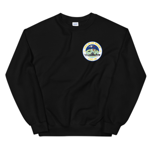 USS Blue Ridge (LCC-19) 1990-91 ODS/S Cruise Sweatshirt – front view, black
